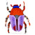 Resin Scarab Broach