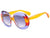 Square Multi Sunglasses