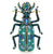 Scarab Turquoise Brooch