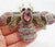 Amber/Pink Bee Large Brooch