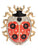 Jewelled Ladybug Brooch