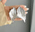 Oyster Shell Earring silver