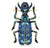 Scarab Azzure Brooch