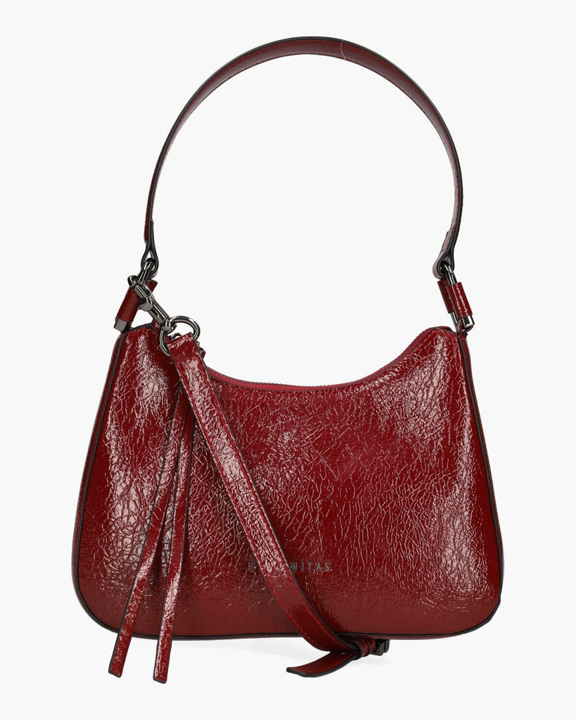 BI254149 Burgundy Handbag