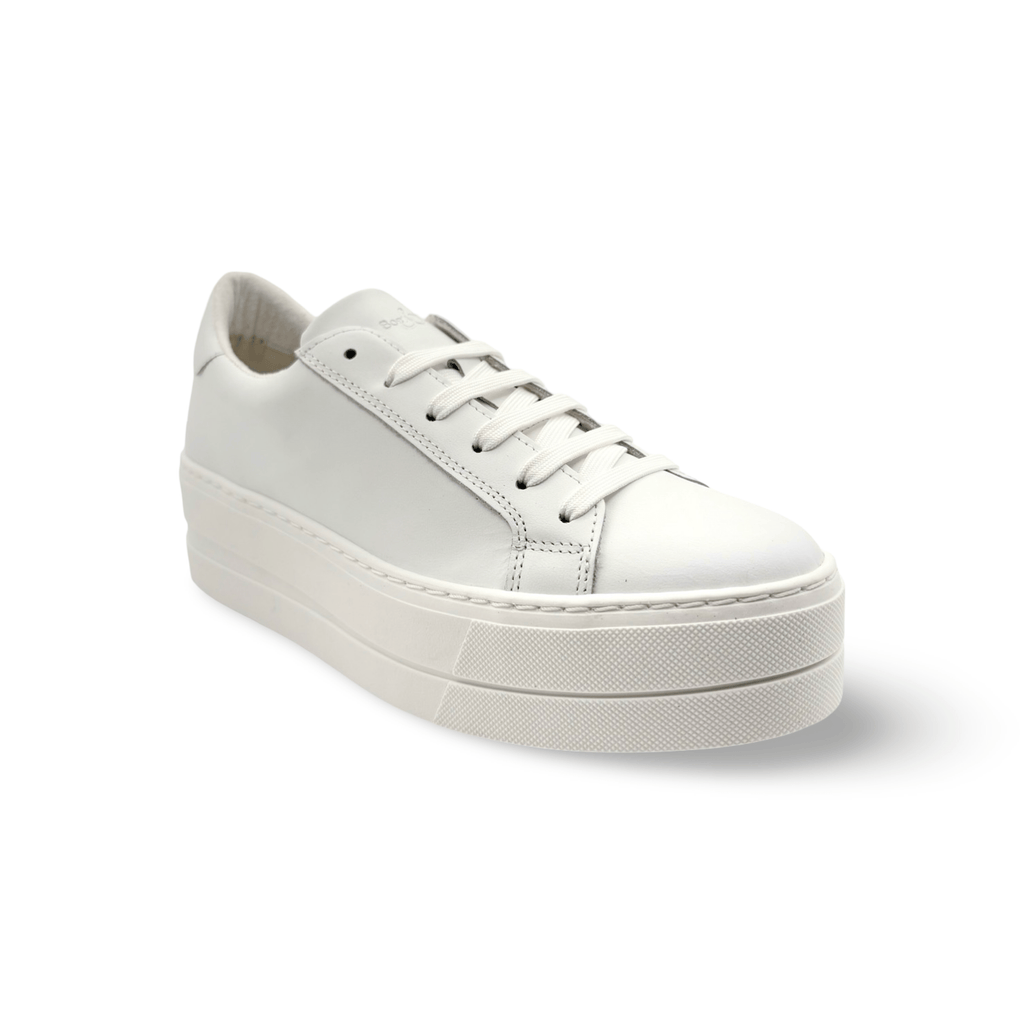 MAYA White Lace Up Trainer RESTOCK!!!