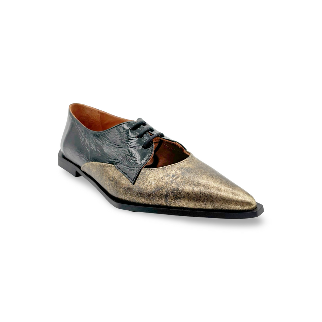 Metallic dress shoe on a white background