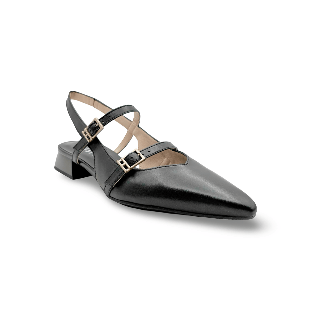 HV263922 Dali Black Slingback