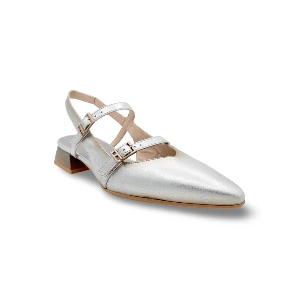 HV263922 Dali Silver Slingback