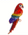 Rainbow Parrot Brooch