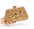 Poppy Gold Crystal Hard Clutch