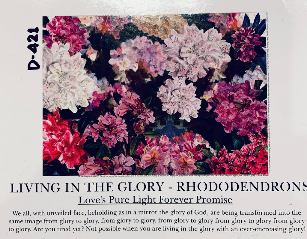 D421 Living In The Glory Rhododendron